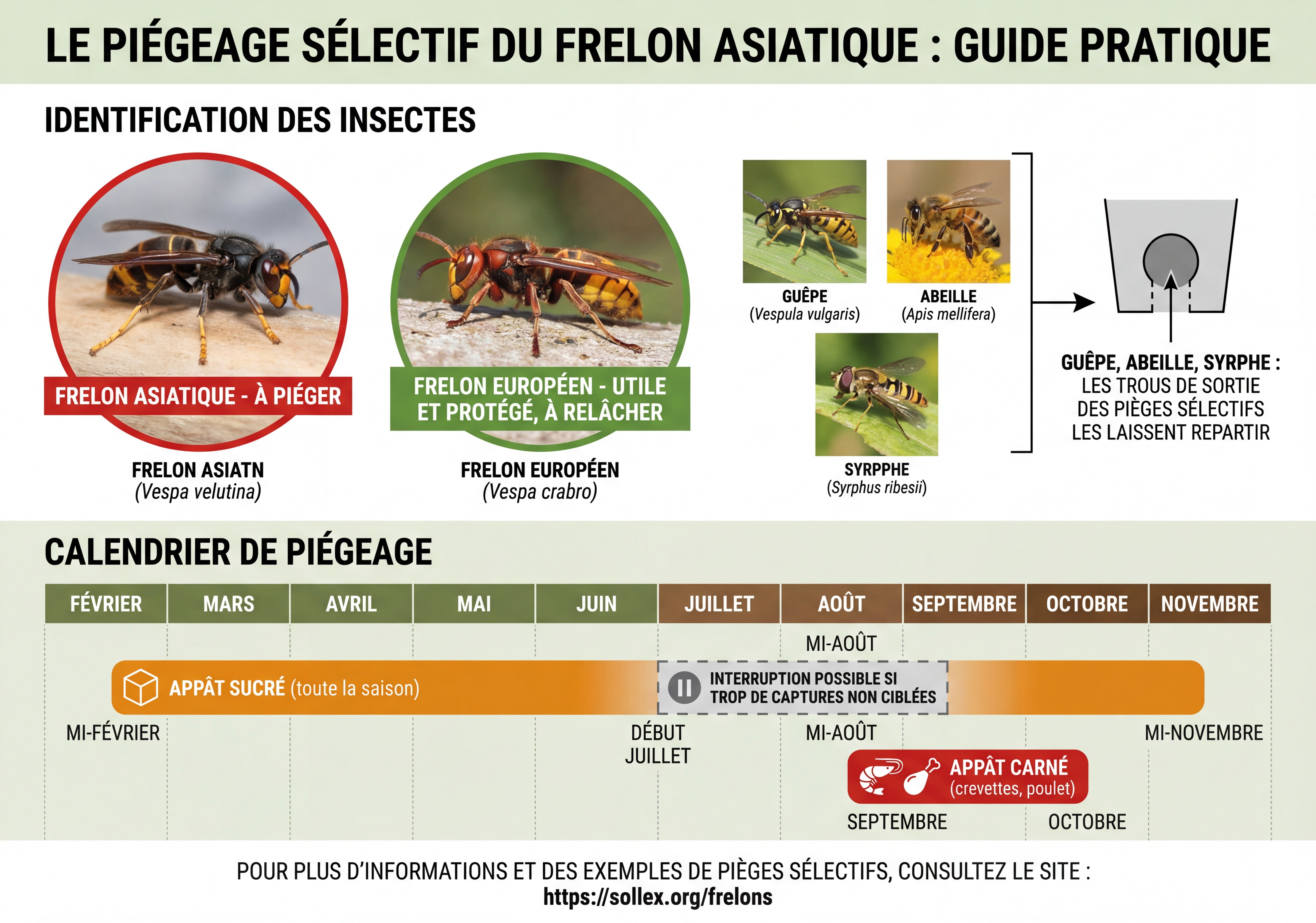 Calendrier piégeage
