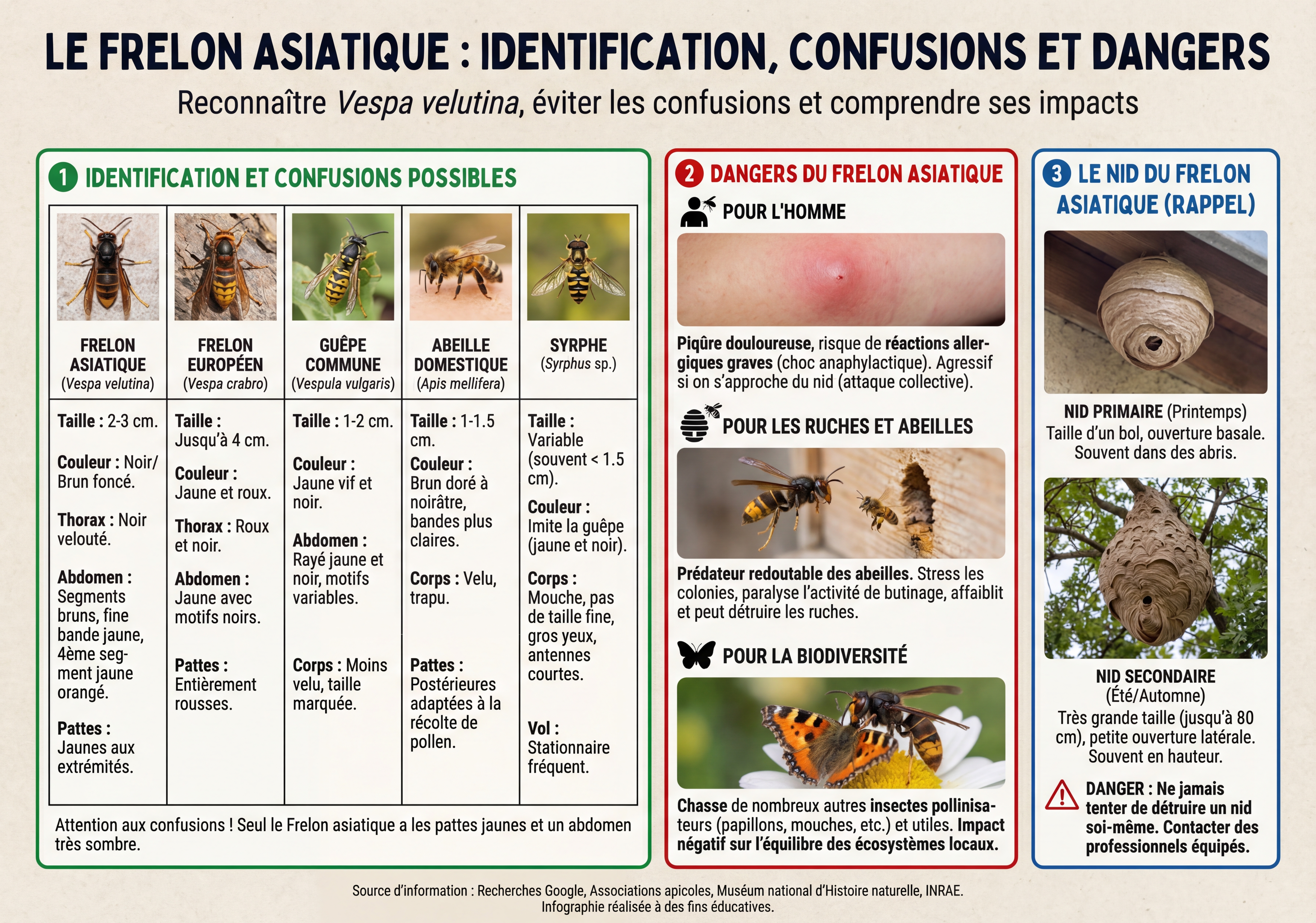 Comparaison des insectes